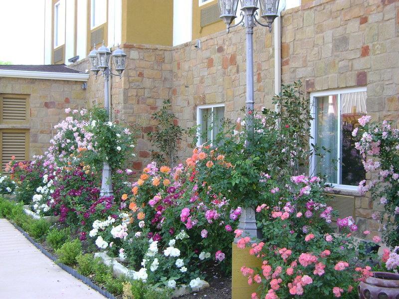 Blanco River Hotel Esterno foto